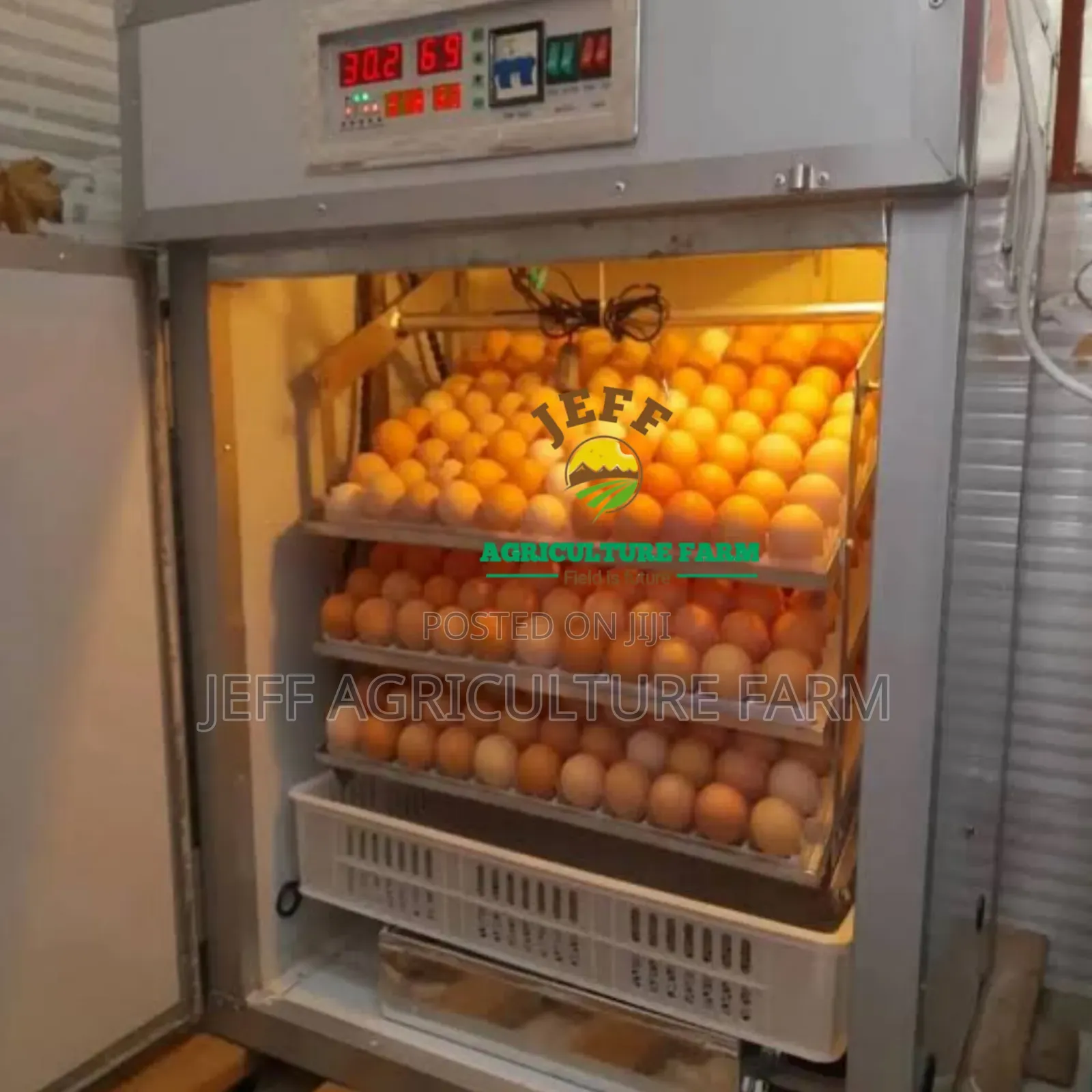 Incubator Mayai 352 Jan 2026