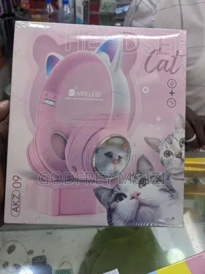 Wirelless Headphone