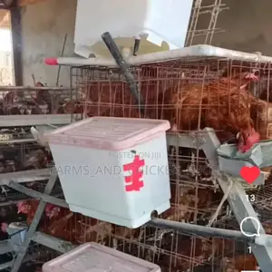 Cage Water Tank