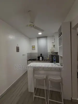 Furnished 1bdrm Apartment in Oysterbay for rent