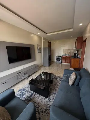 Furnished 1bdrm Apartment in Kijitonyama for rent