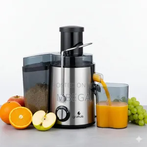 High Performance Electric Juice 4 in 1