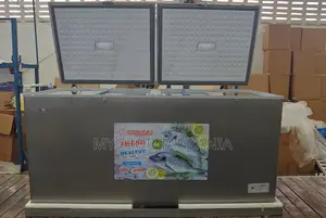 Snowsea Freezer Bd55s 600l