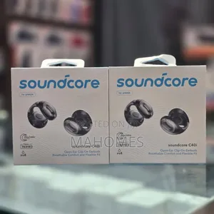 Anker Soundcore C40i