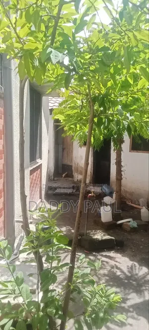 Furnished 3bdrm House in Kijitonyama for sale