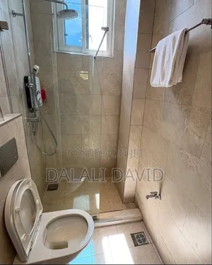 Furnished 2bdrm Apartment in Capetown, Msasani for rent