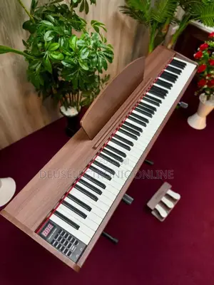 Digital Piano 3 Pedal 
88 Keys Hammer Action Heavy Weight Keys 
.