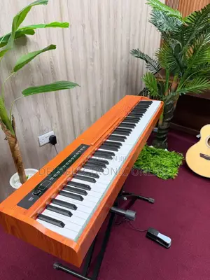 Digital Piano Single Pedal Keys 88 . With Stand