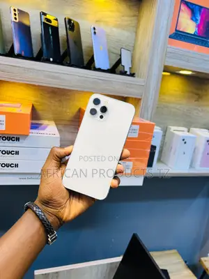 Apple iPhone 12 Pro Max 128 GB Silver
