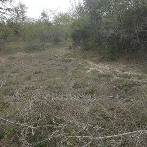 100 Acres for Sale Chalinze