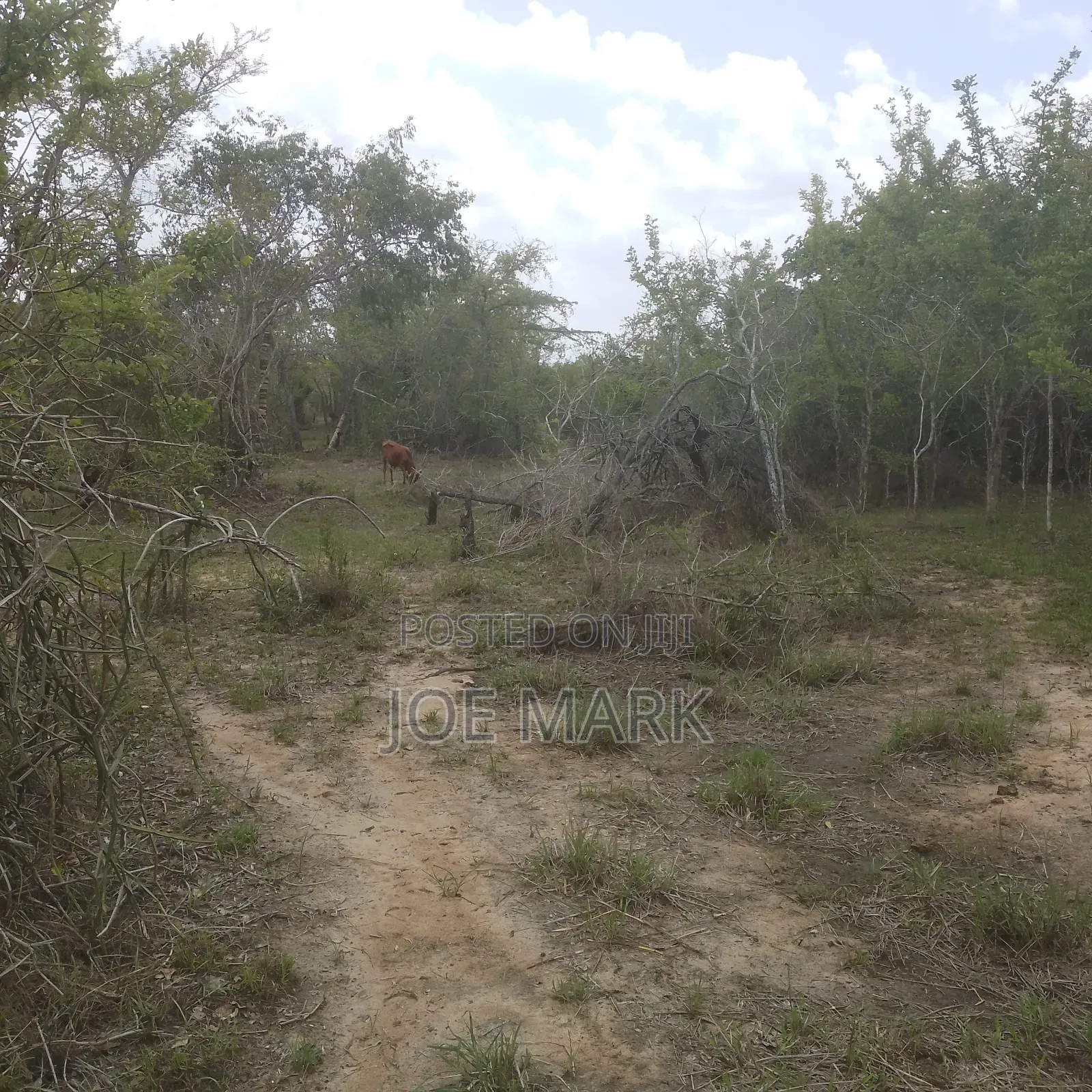 100 Acres for Sale Chalinze