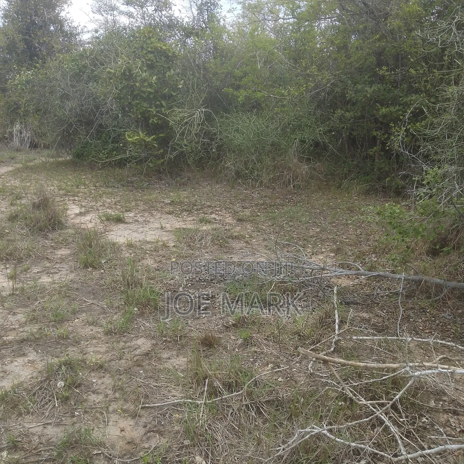 100 Acres for Sale Chalinze