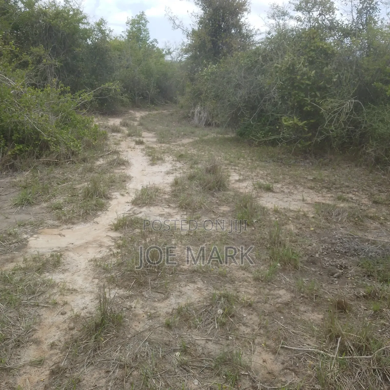 100 Acres for Sale Chalinze
