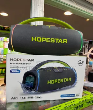 Hopestar A65 Portable Speaker 300-Watts With Mic (Grey)