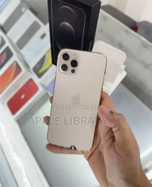 New Apple iPhone 12 Pro 256 GB Gold