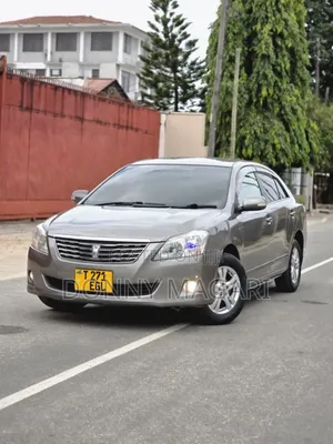 Toyota Premio 2009 Gray