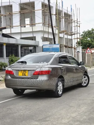 Toyota Premio 2009 Gray