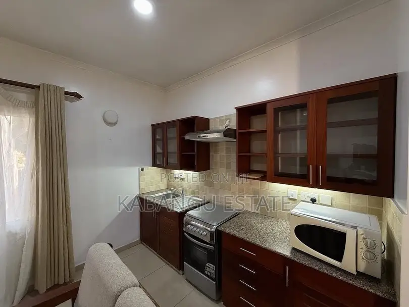 Furnished 1bdrm Apartment in Oysterbay for rent