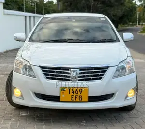 Toyota Premio 2009 Silver