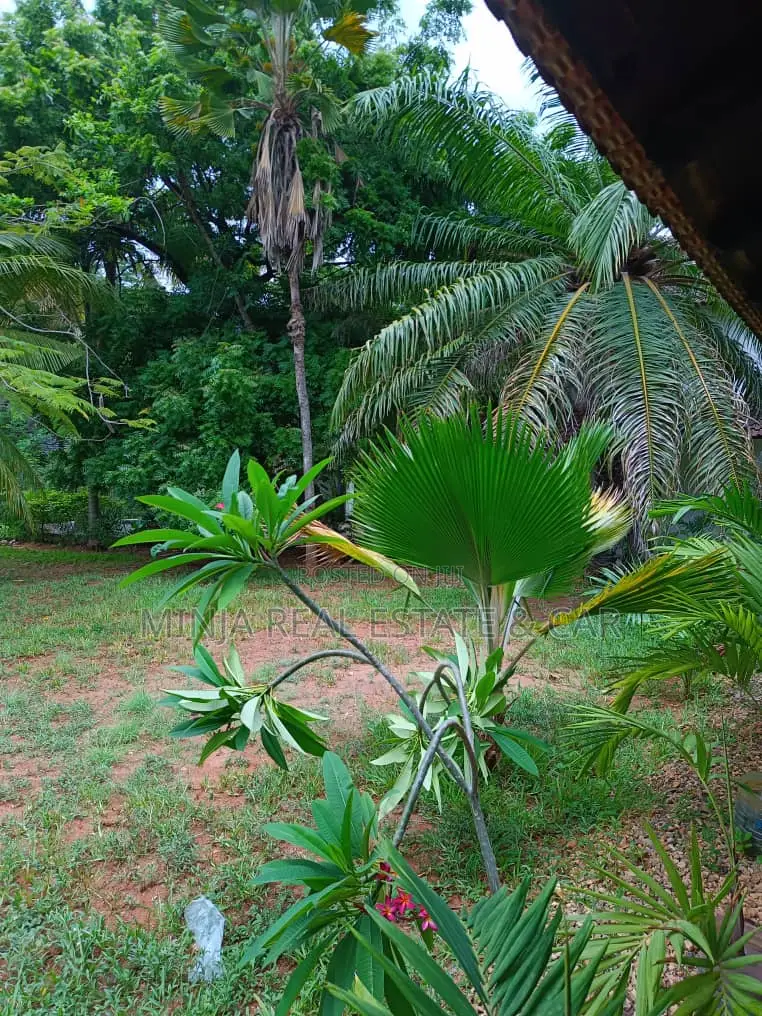 8bdrm House in Masaki for rent