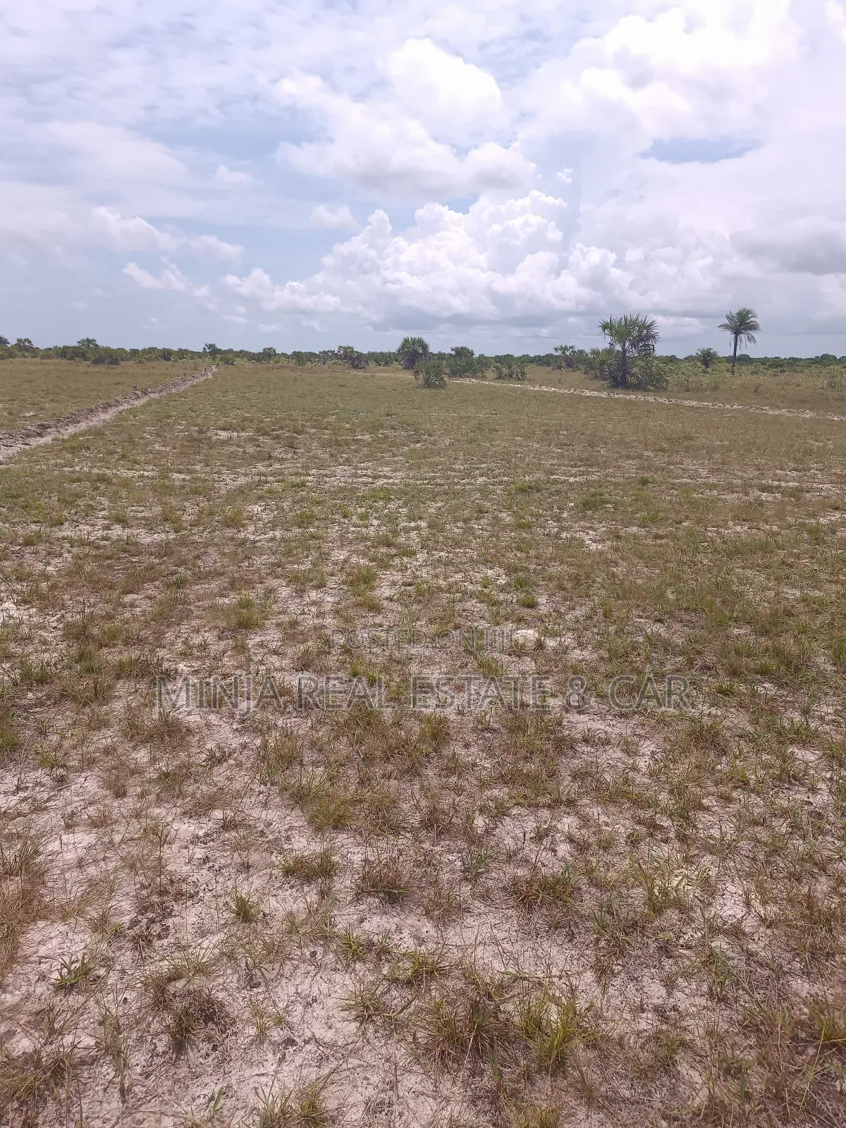 Industrial Plot For Sale Kibaha Misugusugu In The Industrial Park