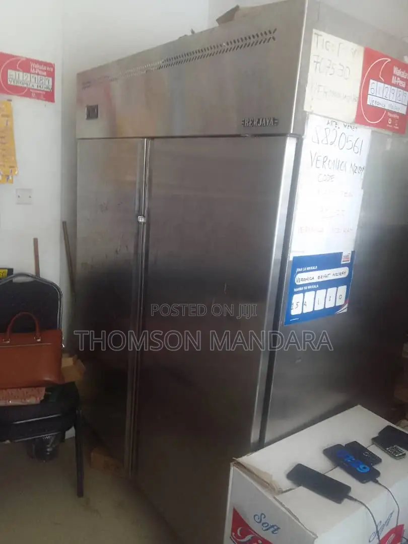 Heavy Duty 2 Doors Freezer
