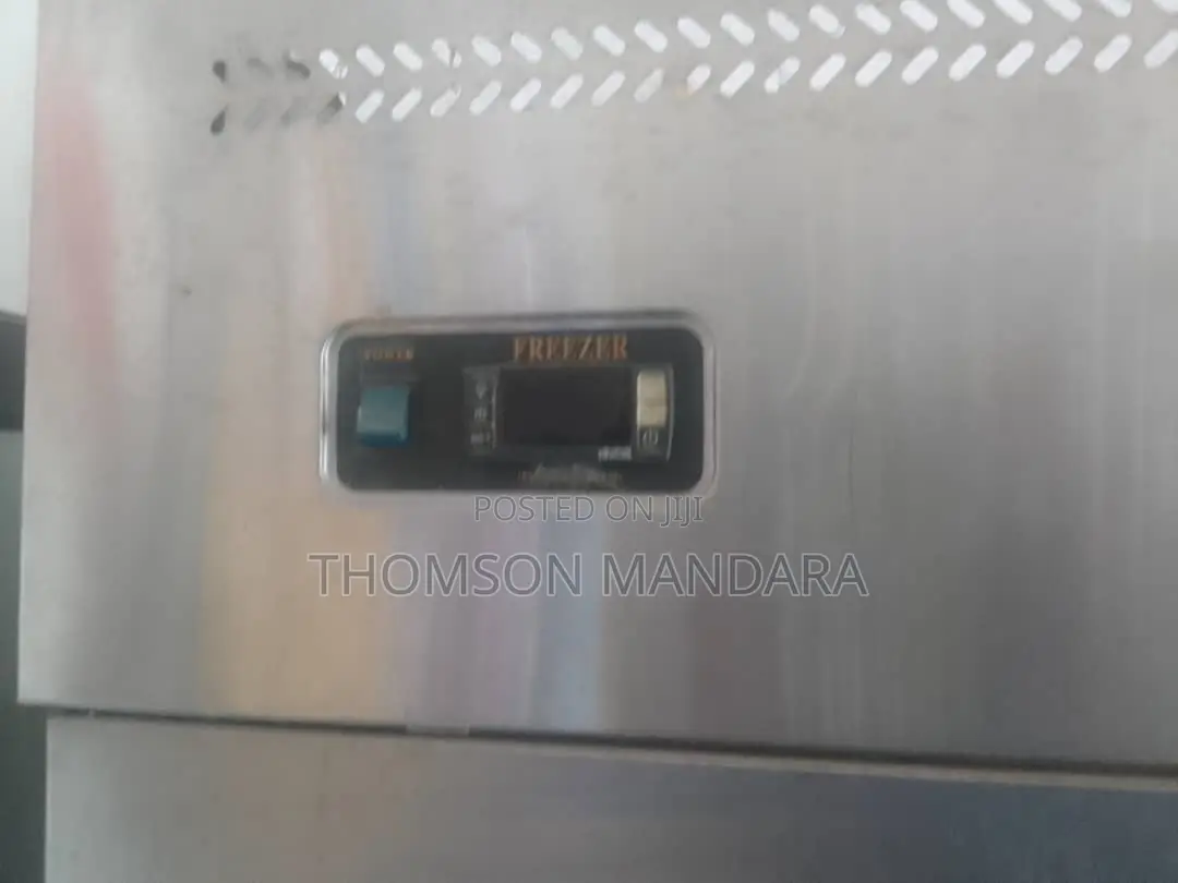 Heavy Duty 2 Doors Freezer