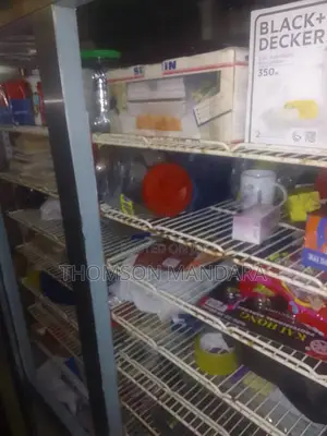 Heavy Duty 2 Doors Freezer