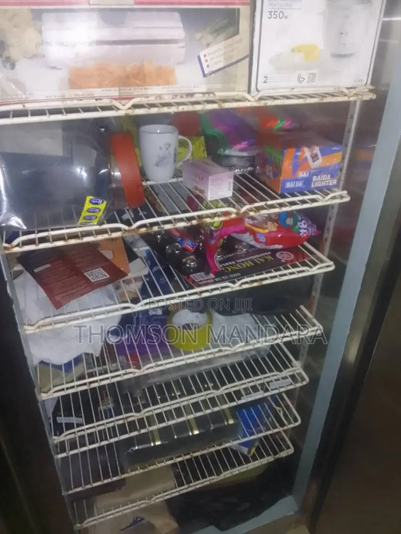 Heavy Duty 2 Doors Freezer