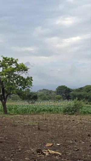 Lipa Mdogo Mdogo Ndani Ya Mwaka Moja