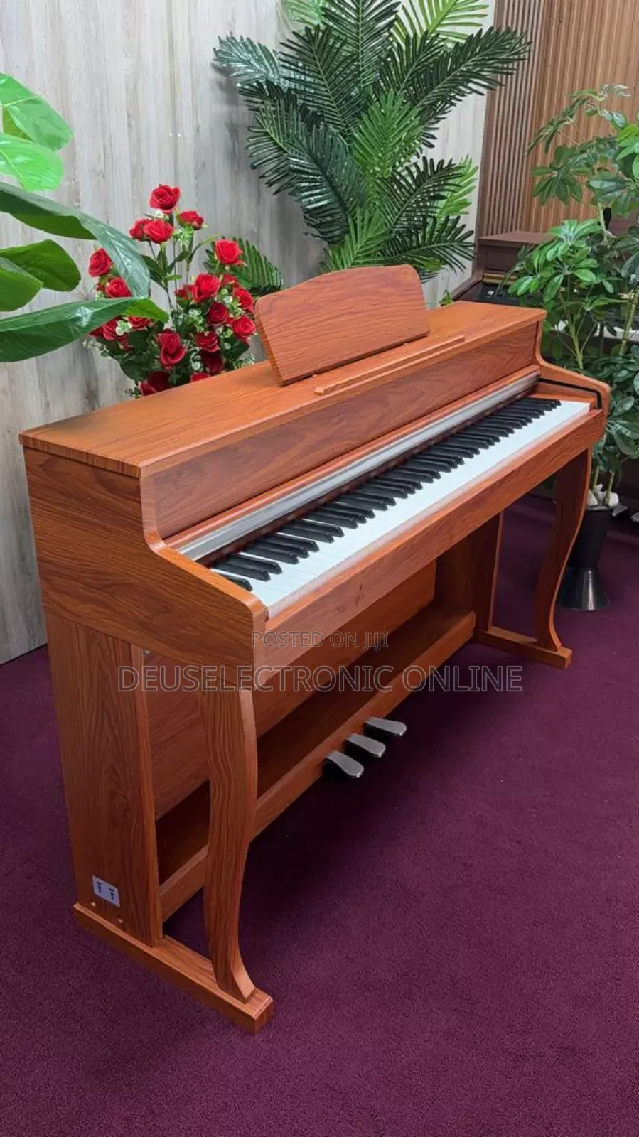 Digital Piano 88 Keys Yenye Jumba Lake La Stand . Only Piano Song .