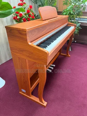 Digital Piano 88 Keys Yenye Jumba Lake La Stand . Only Piano Song .