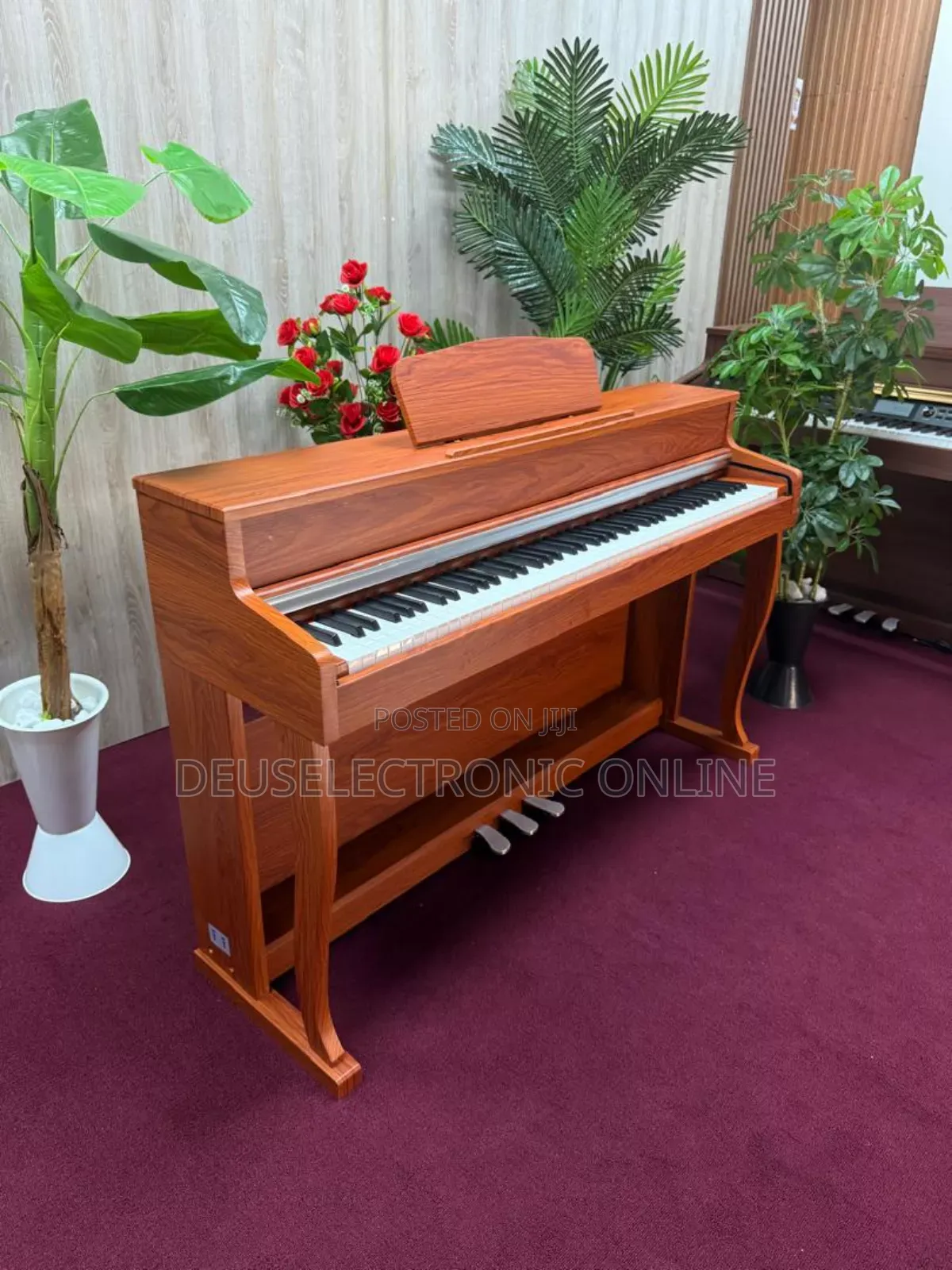 Digital Piano 88 Keys Yenye Jumba Lake La Stand . Only Piano Song .