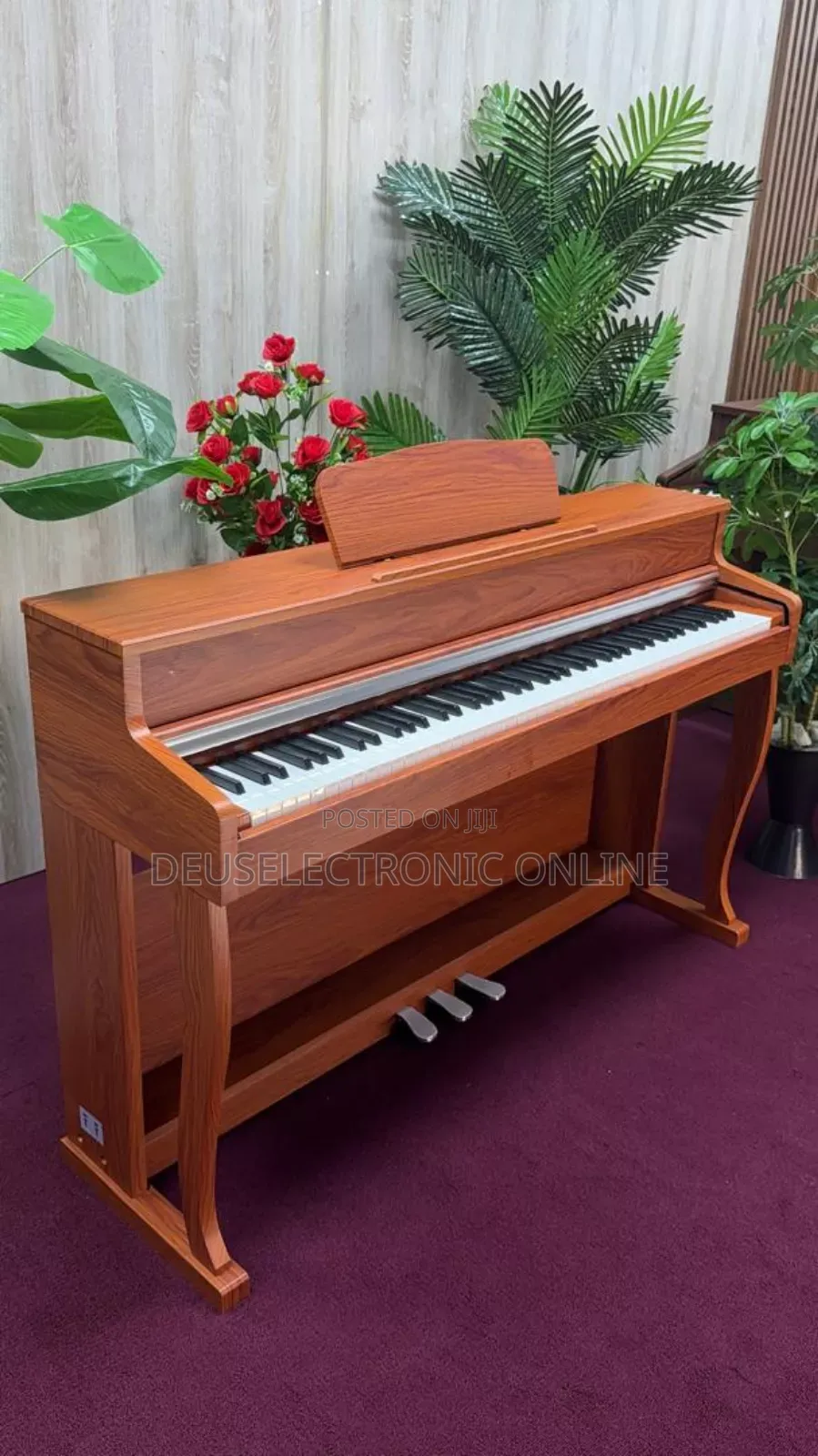 Digital Piano 88 Keys Yenye Jumba Lake La Stand . Only Piano Song .