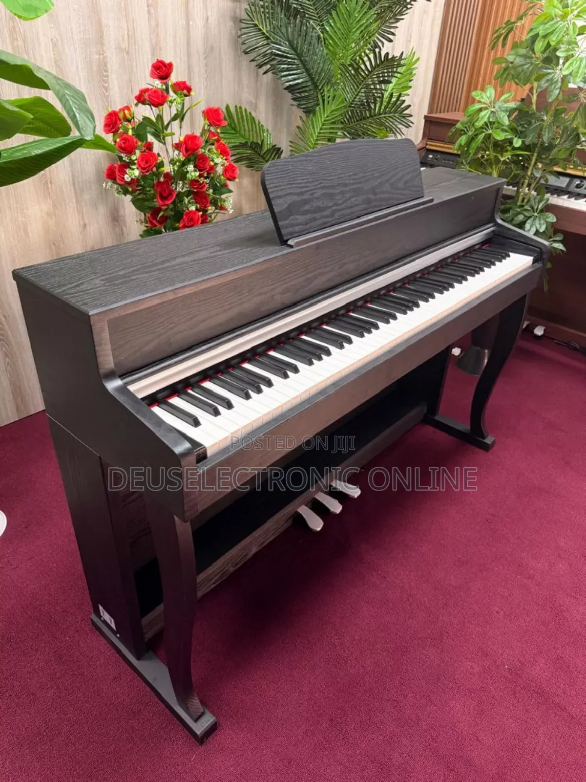 Digital Piano 88 Keys Yenye Jumba Lake La Stand . Only Piano Song .
