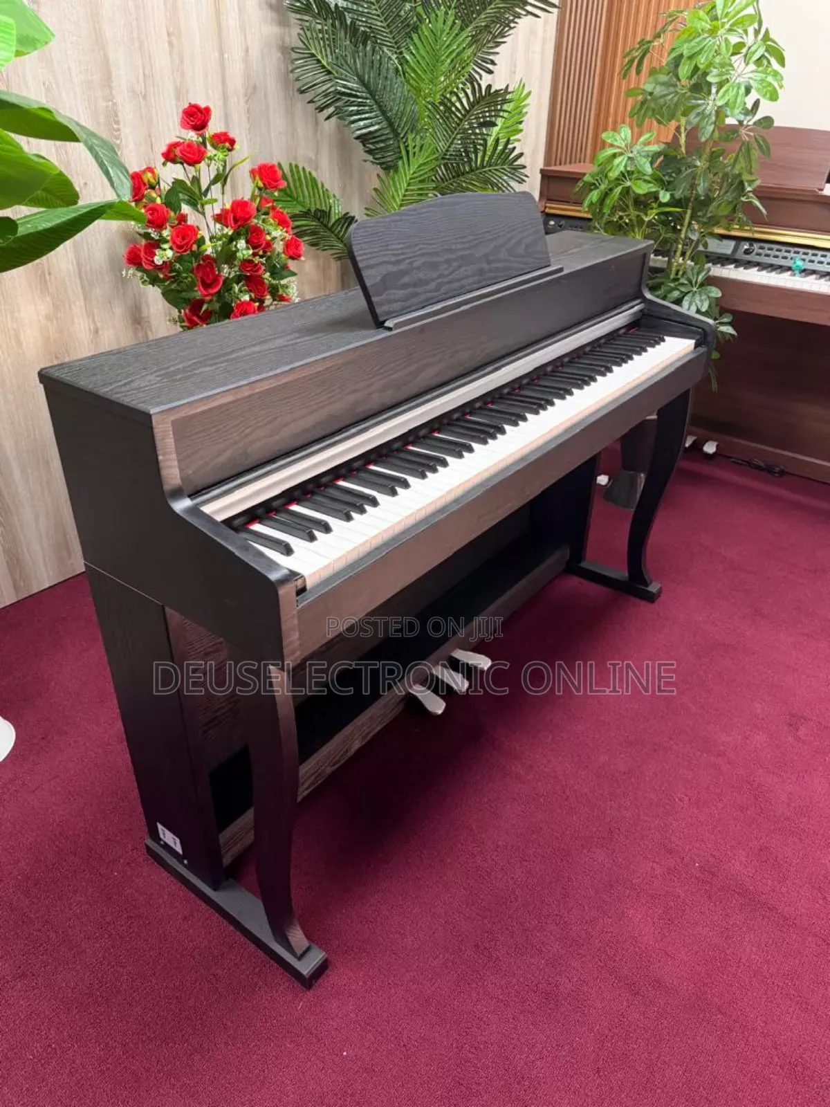 Digital Piano 88 Keys Yenye Jumba Lake La Stand . Only Piano Song .