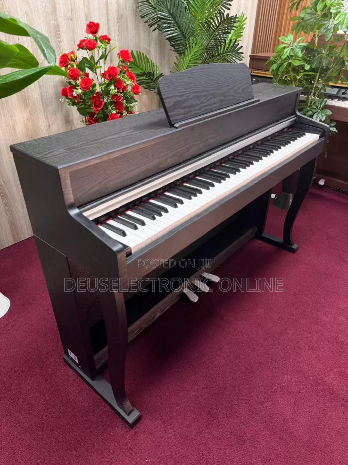 Digital Piano 88 Keys Yenye Jumba Lake La Stand . Only Piano Song .