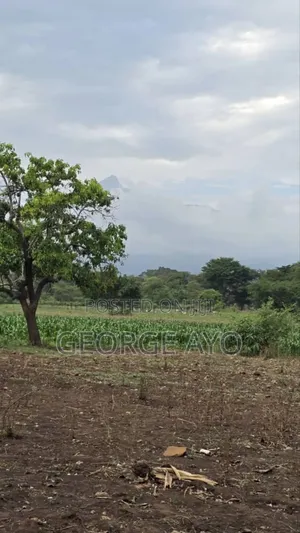 Tunakopesha Viwaja Unalipa Ndani Ya Mwaka Moja