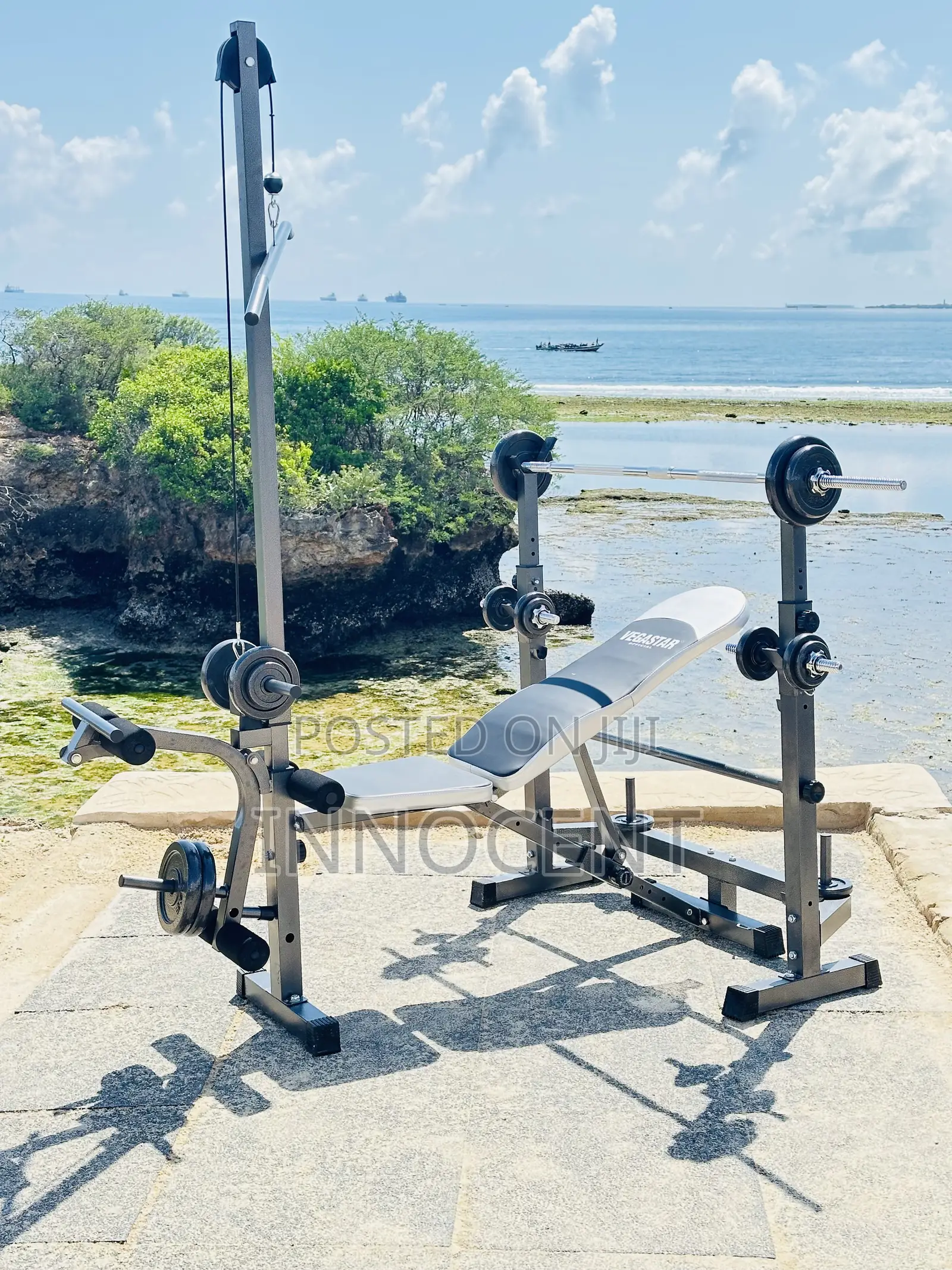 Multifunctional Bench