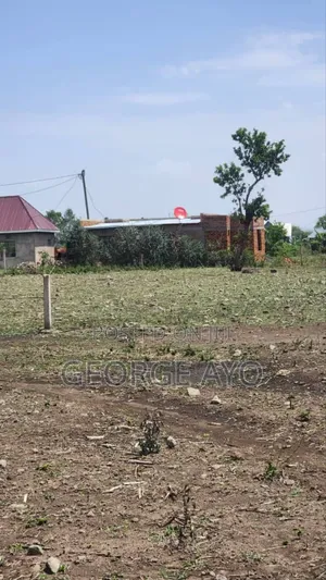 Wauzaji Bora Wa Viwanja
