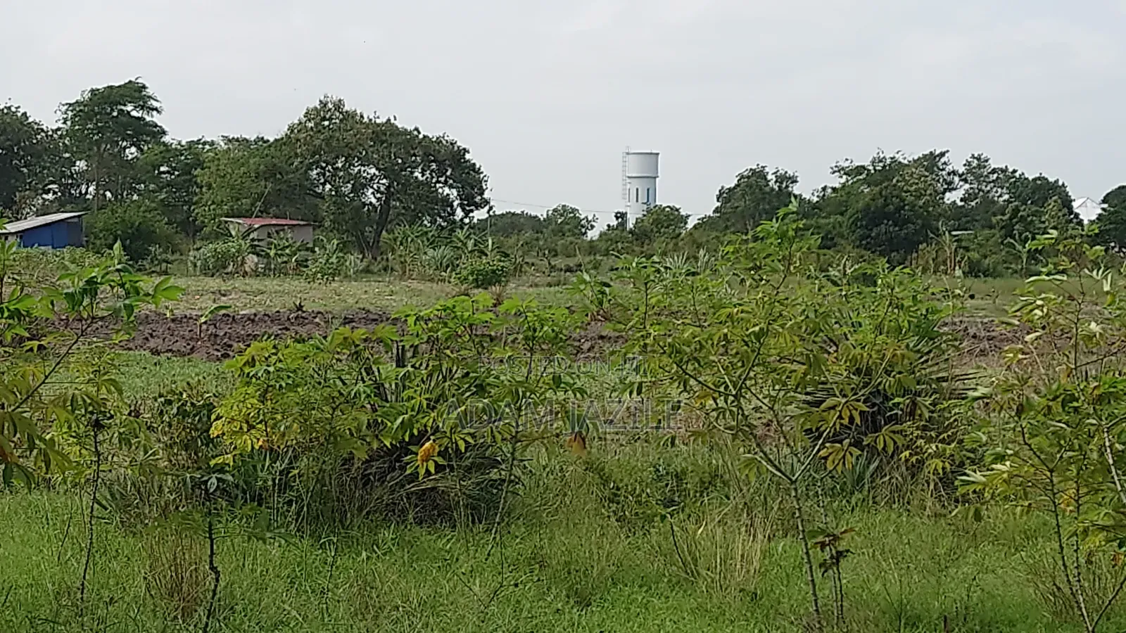 Kiwanja Kinauzwa Kidomole