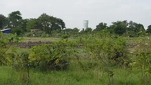 Kiwanja Kinauzwa Kidomole