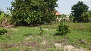 Kiwanja Kinauzwa Kidomole