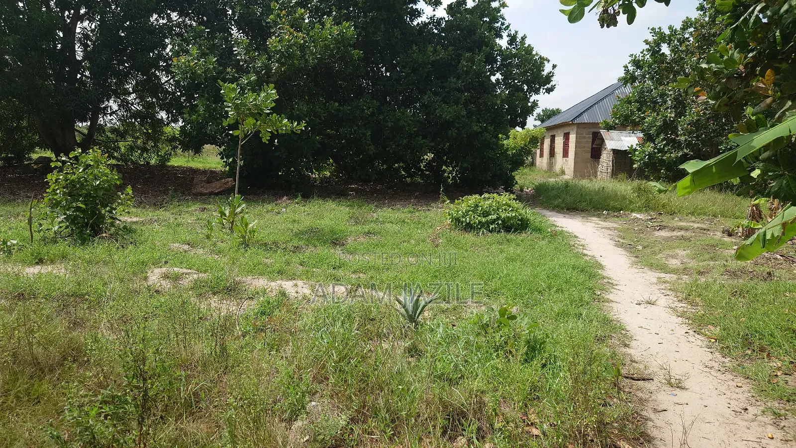 Kiwanja Kinauzwa Kidomole
