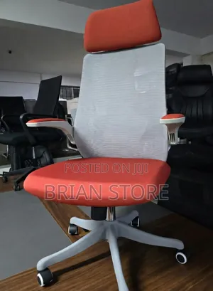 Office Morden Ergonomic Chair