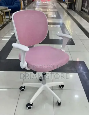 Ergonomic Chair (Pink)
