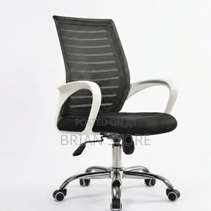 New Ergonomic Office Chair With Back Support