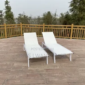 Outdoor Swimming Pool Lounge Chairs(2pcs)