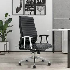 The Linear Elite Director’S Chair