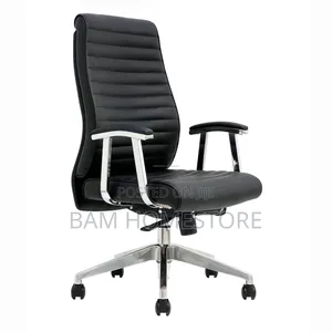 The Linear Elite Director’S Chair